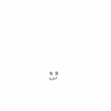 ねこ