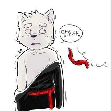 わんこ