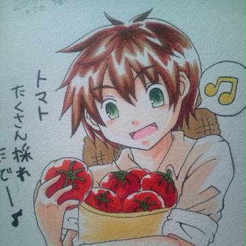 トマトたくさん