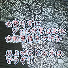 はむｼﾞｪｲﾙ代官その２