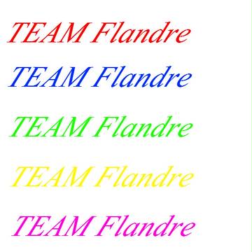 TEAM Flandre