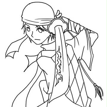 武士の嵐