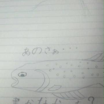 イワナ