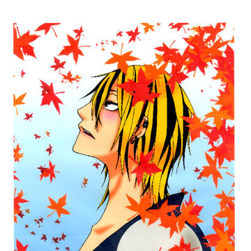 紅葉の中の月