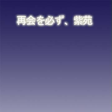 再会を必ず、紫苑