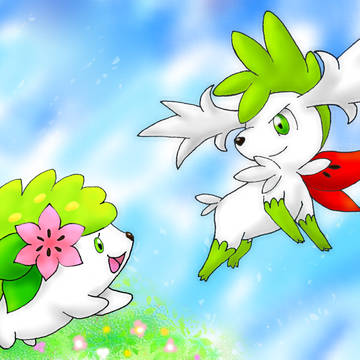 Wシェイミ