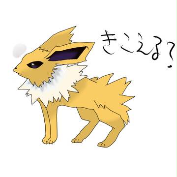 サンダース