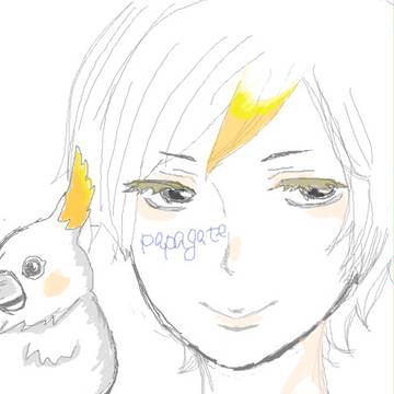 インコ