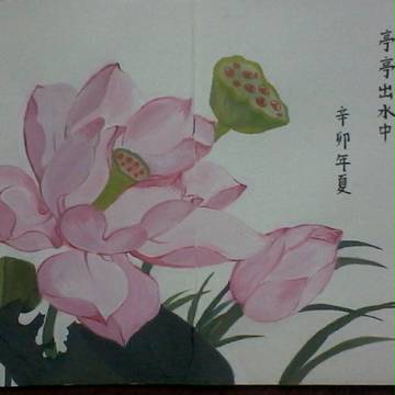莲花