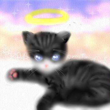 ありがと　ねこさん。