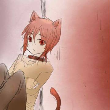 ねこ