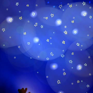 クマと夜空