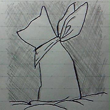 阪本さん2