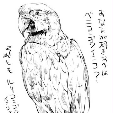 らくがき