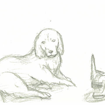 犬＋α