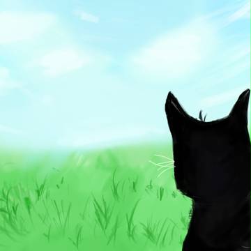 くろねこ