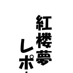 H23.紅楼夢レポート漫画～前々日編～