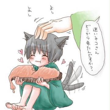 塩じゃけと菊にゃん