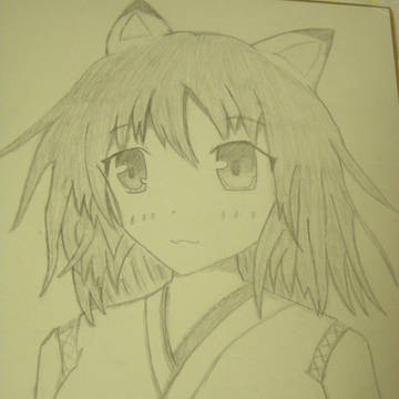 学祭用色紙