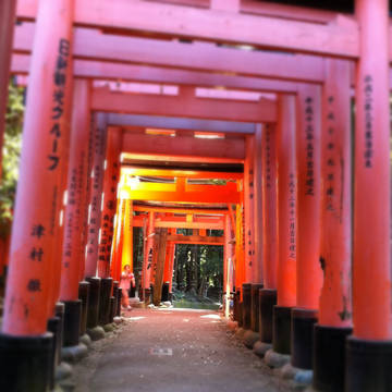 鳥居の隙間