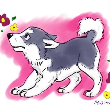 ハスキーちゃん