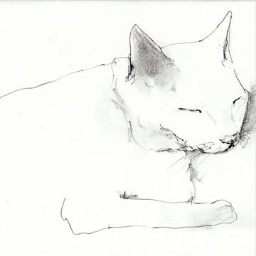 ねるねこ