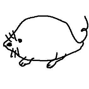 キメラマウス
