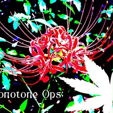 Monotone Ops;