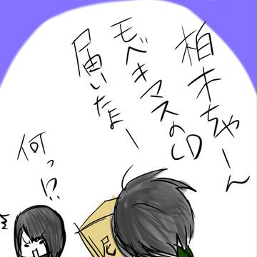 11月16日