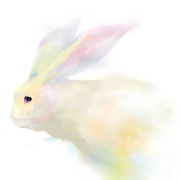 うさぎ
