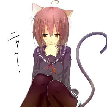 猫耳