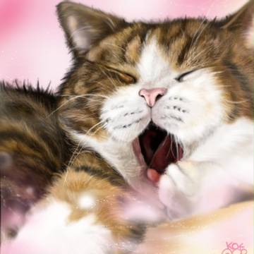 ふぁぁぁぁぁい