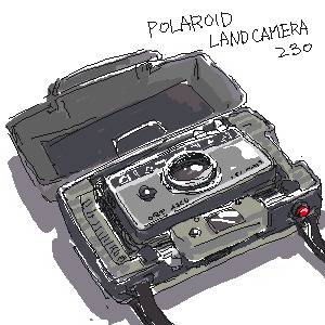 POLAROID 230
