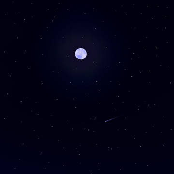 無人観測