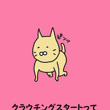 379 クラウチングのやーつ