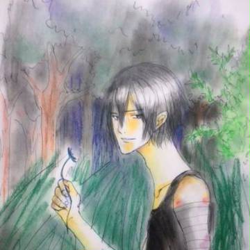 森の中のオオカミ