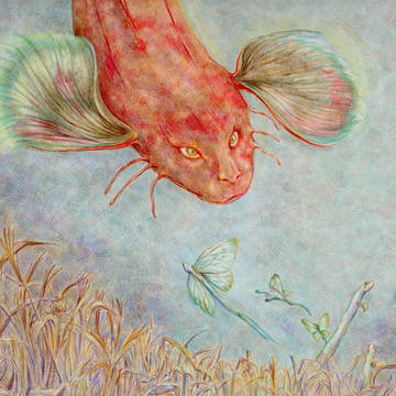 魚No12-a