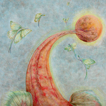魚No12-b