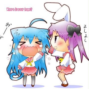 迷子の迷子の子猫ちゃん