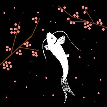 鯉