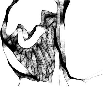 Scribbler_16_2011_1201