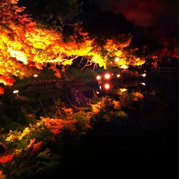 紅葉