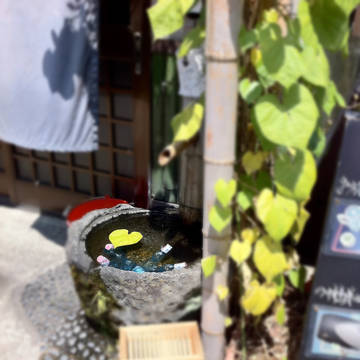 初夏の兆し