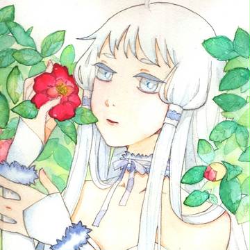 さざんか