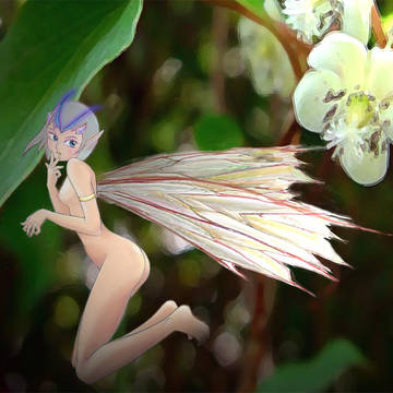 妖精