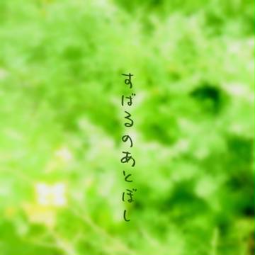 【C81】すばるのあとぼし -Cor Tauri-【少年陰陽師】
