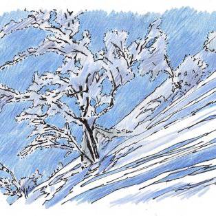 雪木立