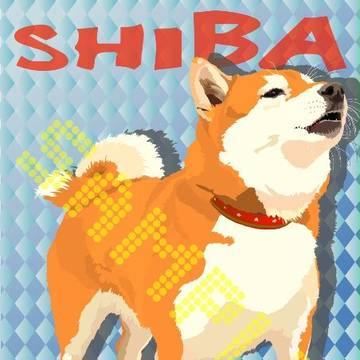 柴犬