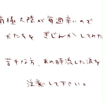 南極大陸ぎじんか2