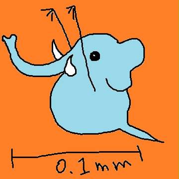 ツイッターと同時に始めました